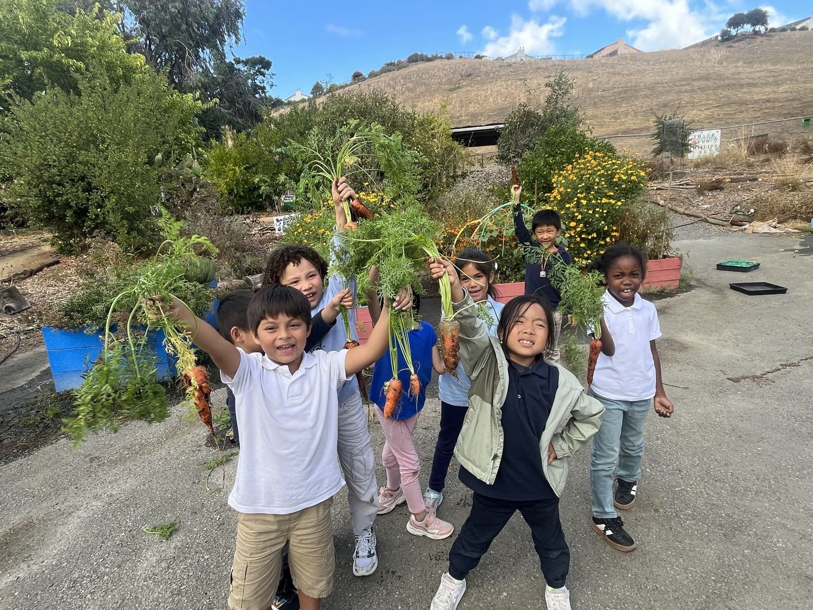 Students hold up freshly harvested carrots in their school garden