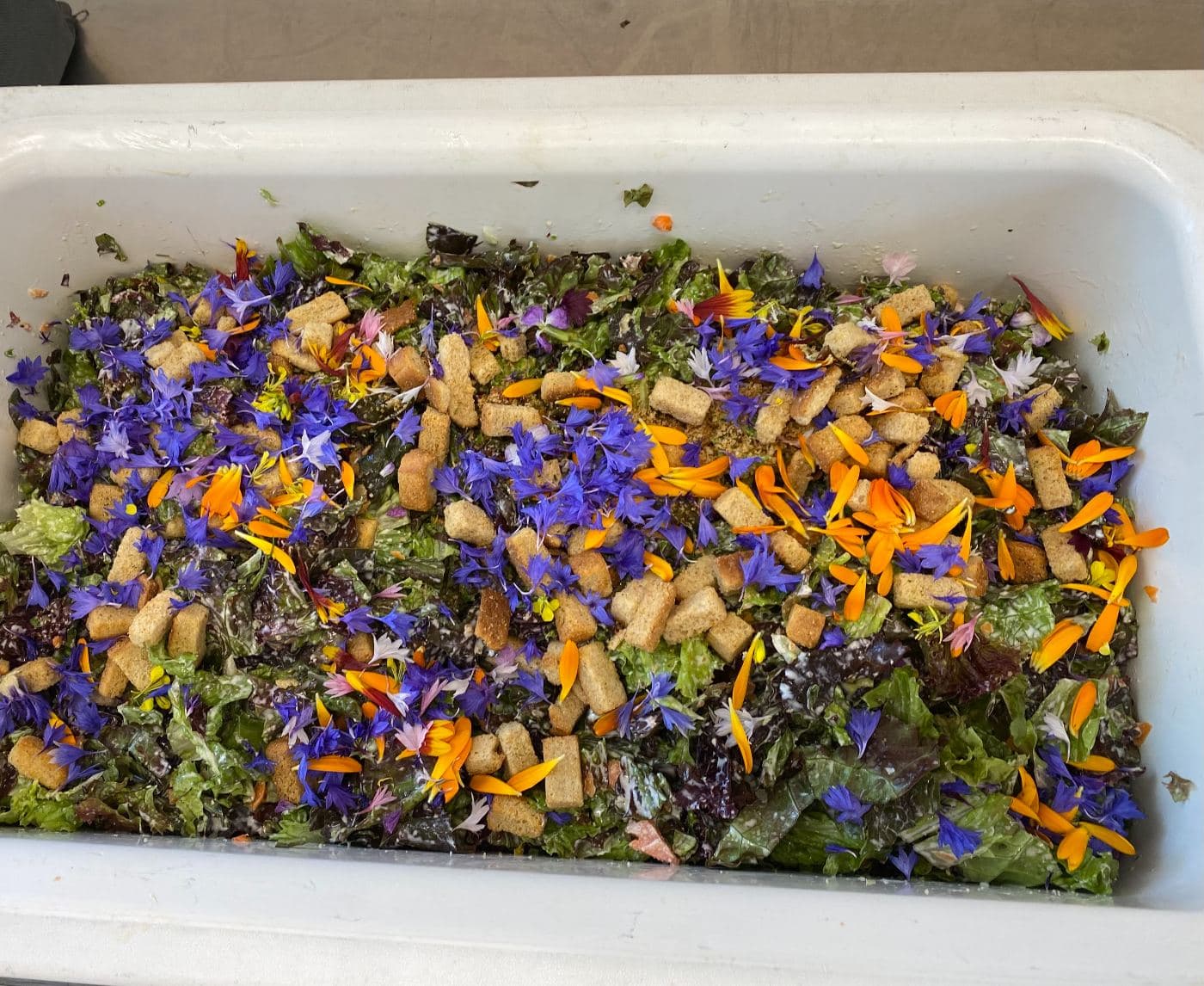 A scratch-cooked salad with romaine, mixed greens, and edible flowers grown on campus