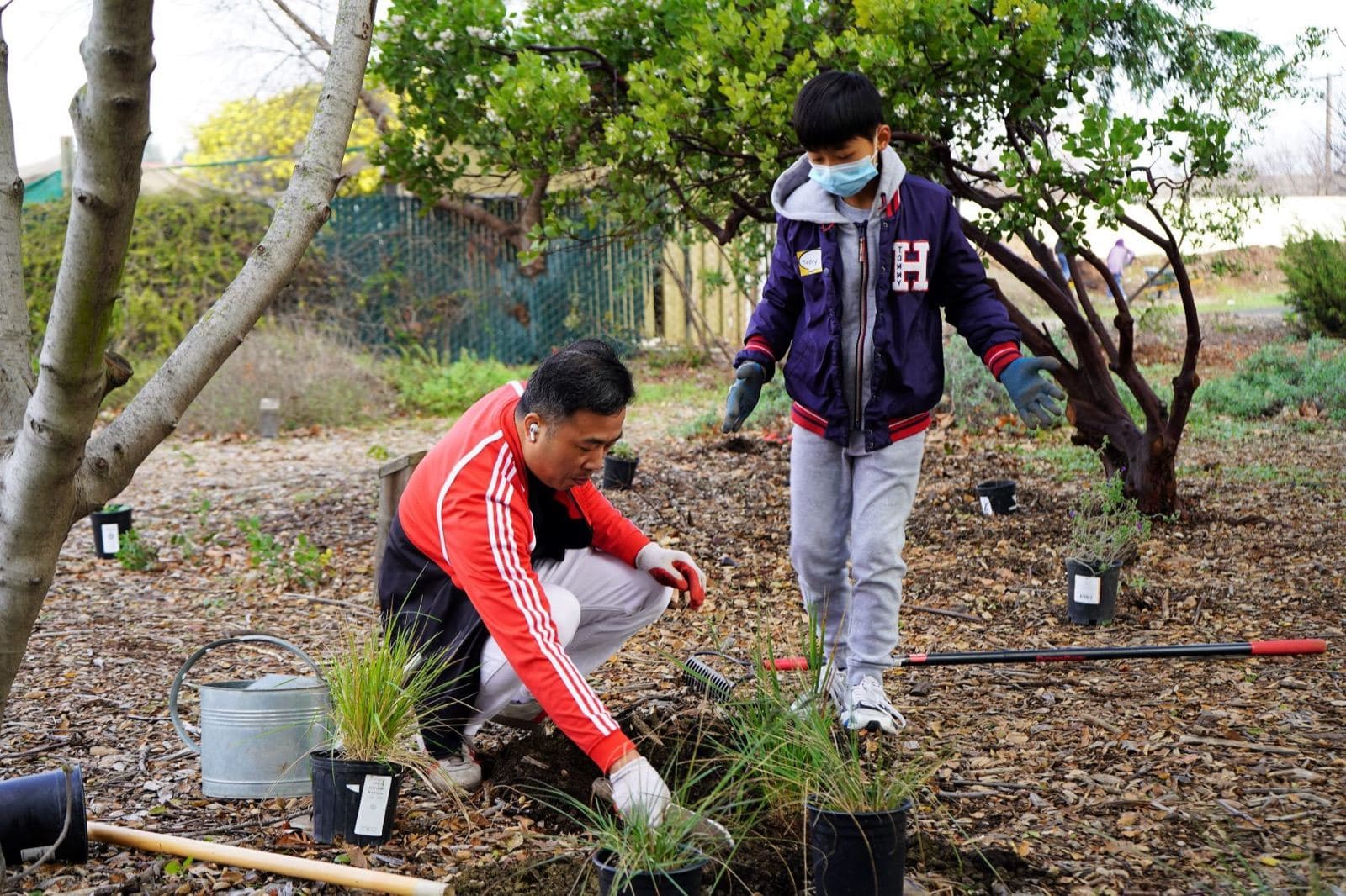 An adult in a red jacket crouches to plant a potted grass while a child in gloves and a mask watches.