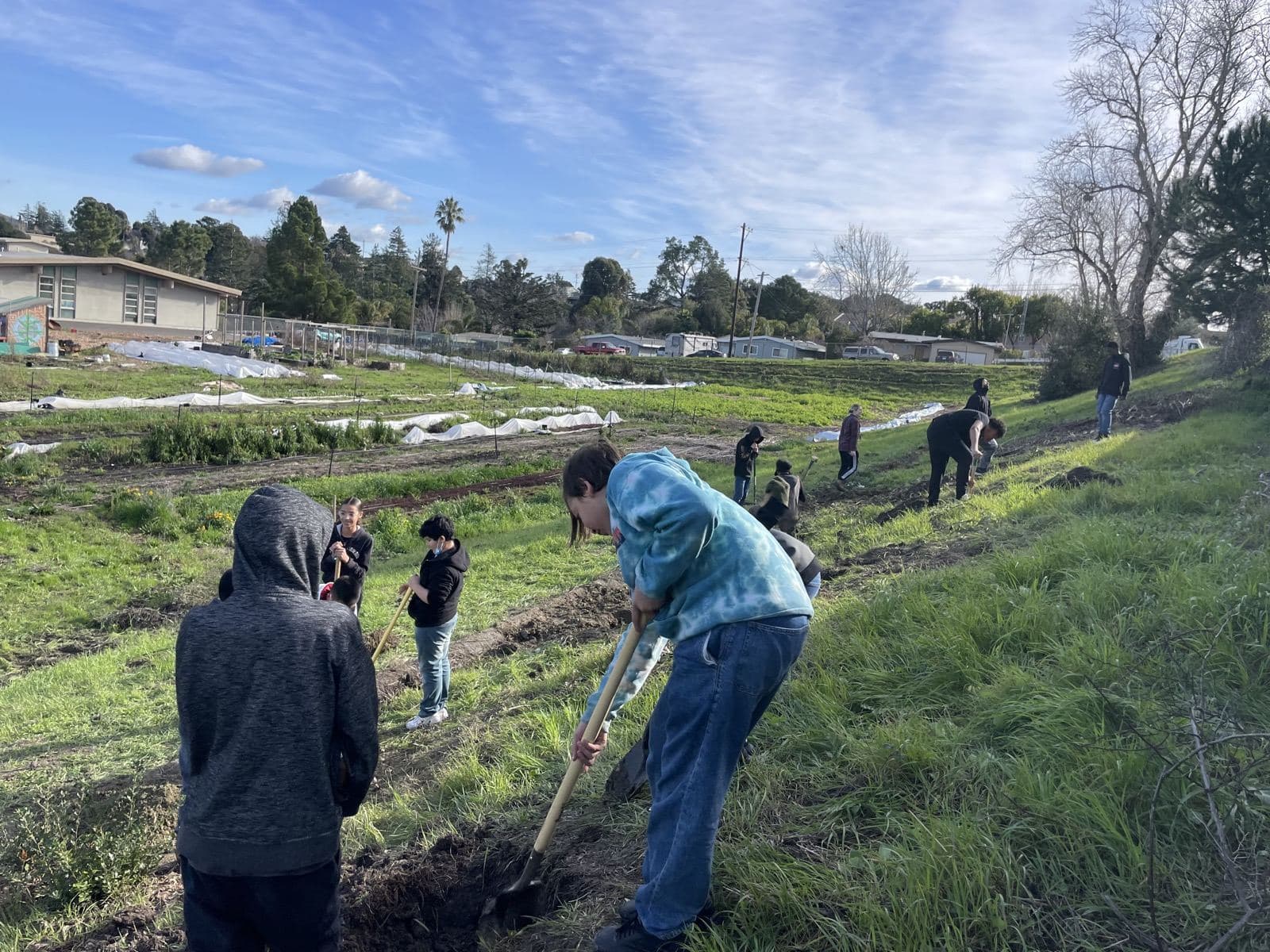 Students plant natives on the hillside at Lupine Hills
