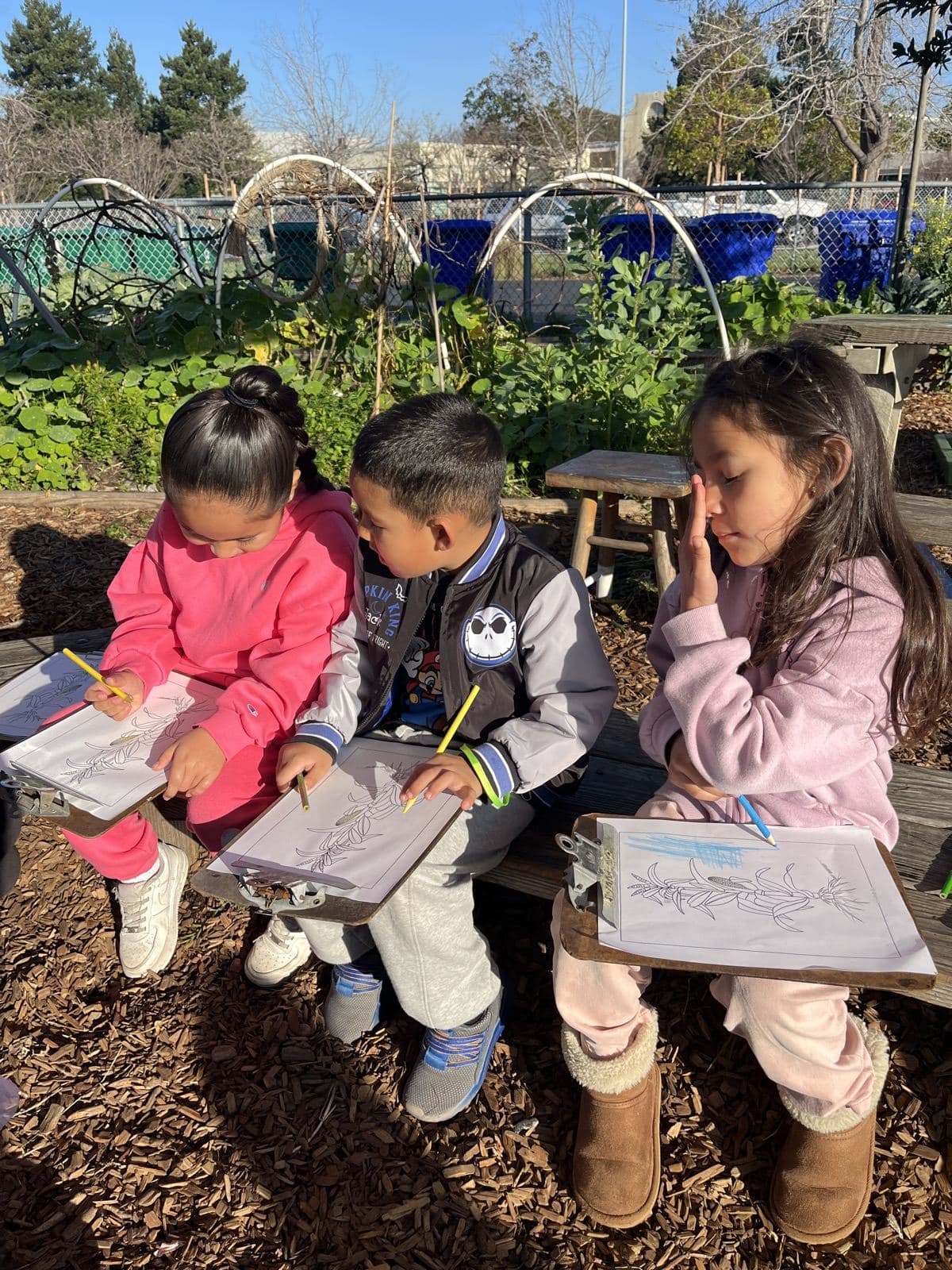 Three young students sketch plants on clipboards at a bench in their school garden.