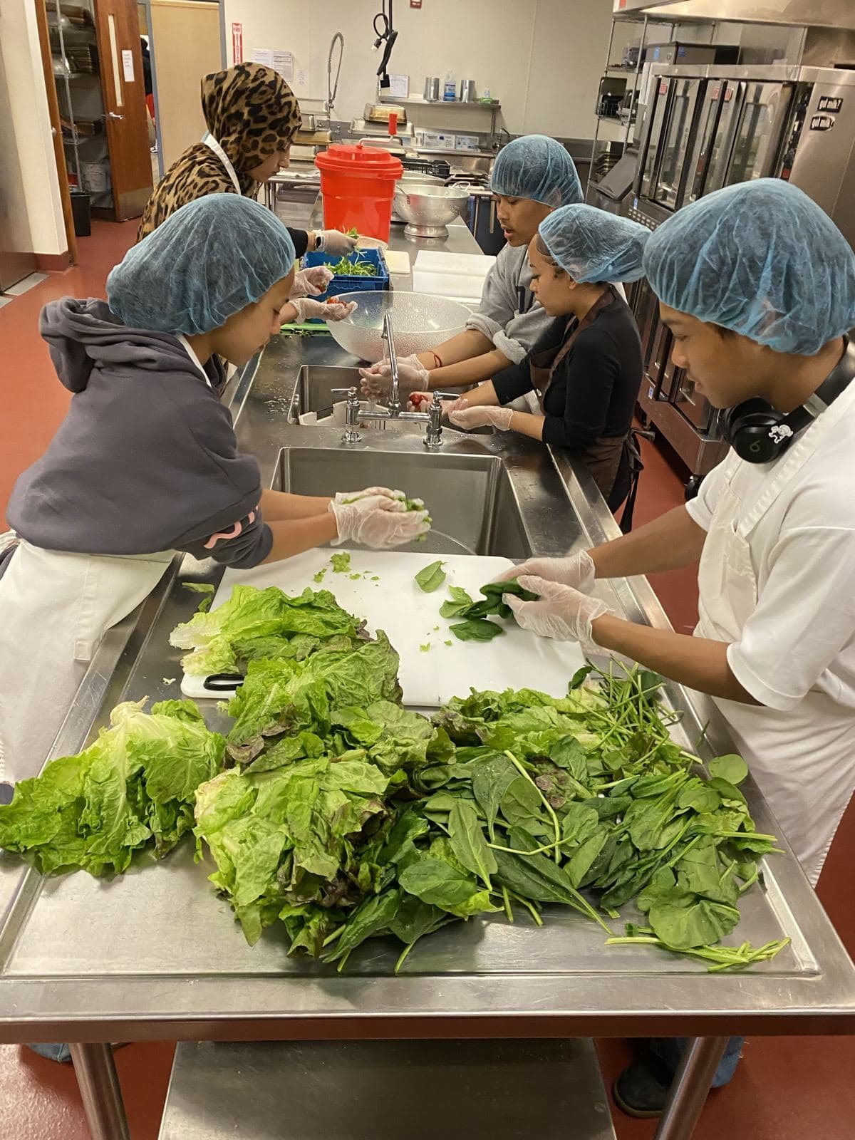 Young people in hairnets and gloves wash and trim lettuce and spinach in a commercial kitchen.
