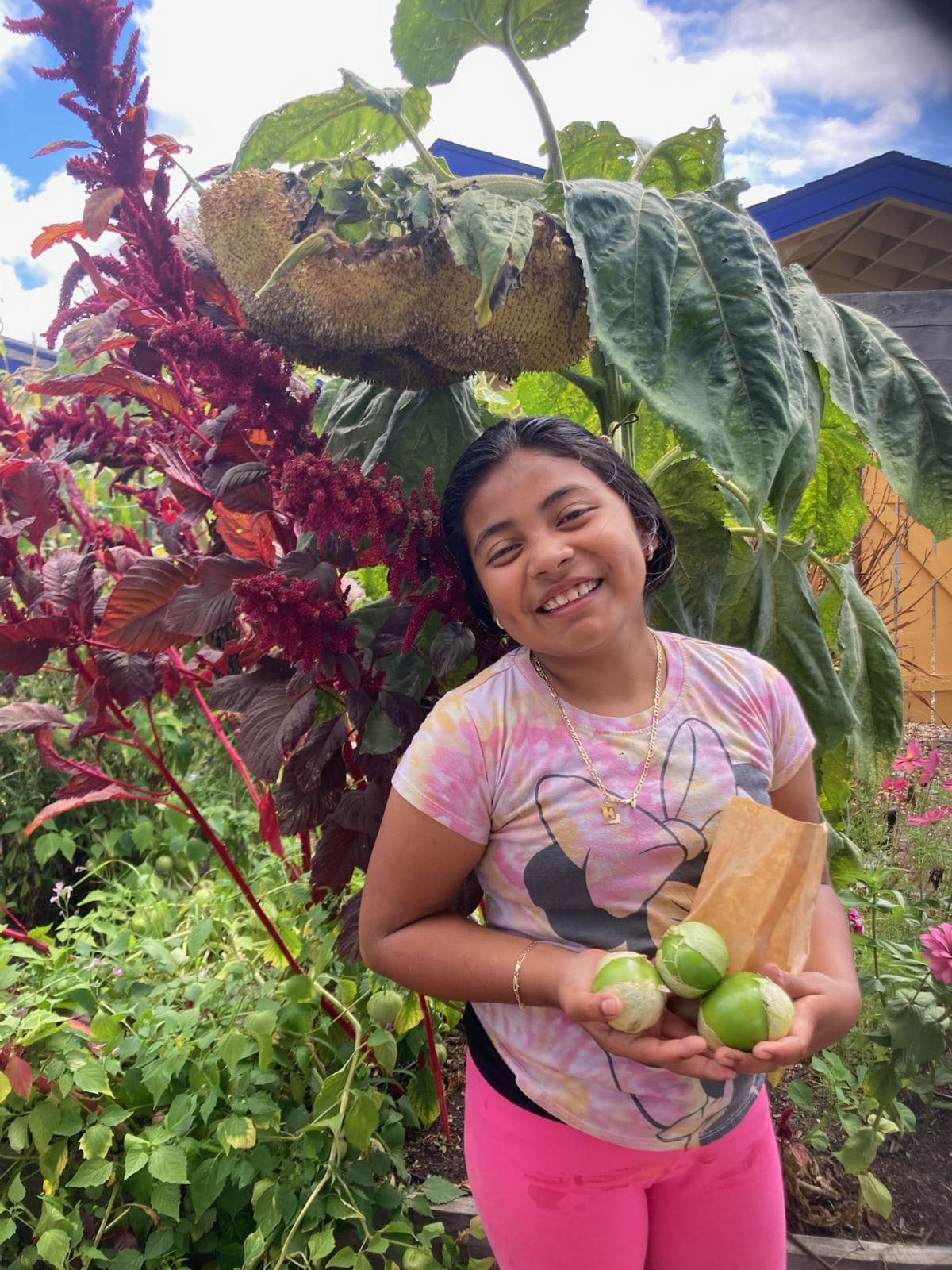 A student holding tomatillos she harvested under a giant sunflower in her school garden