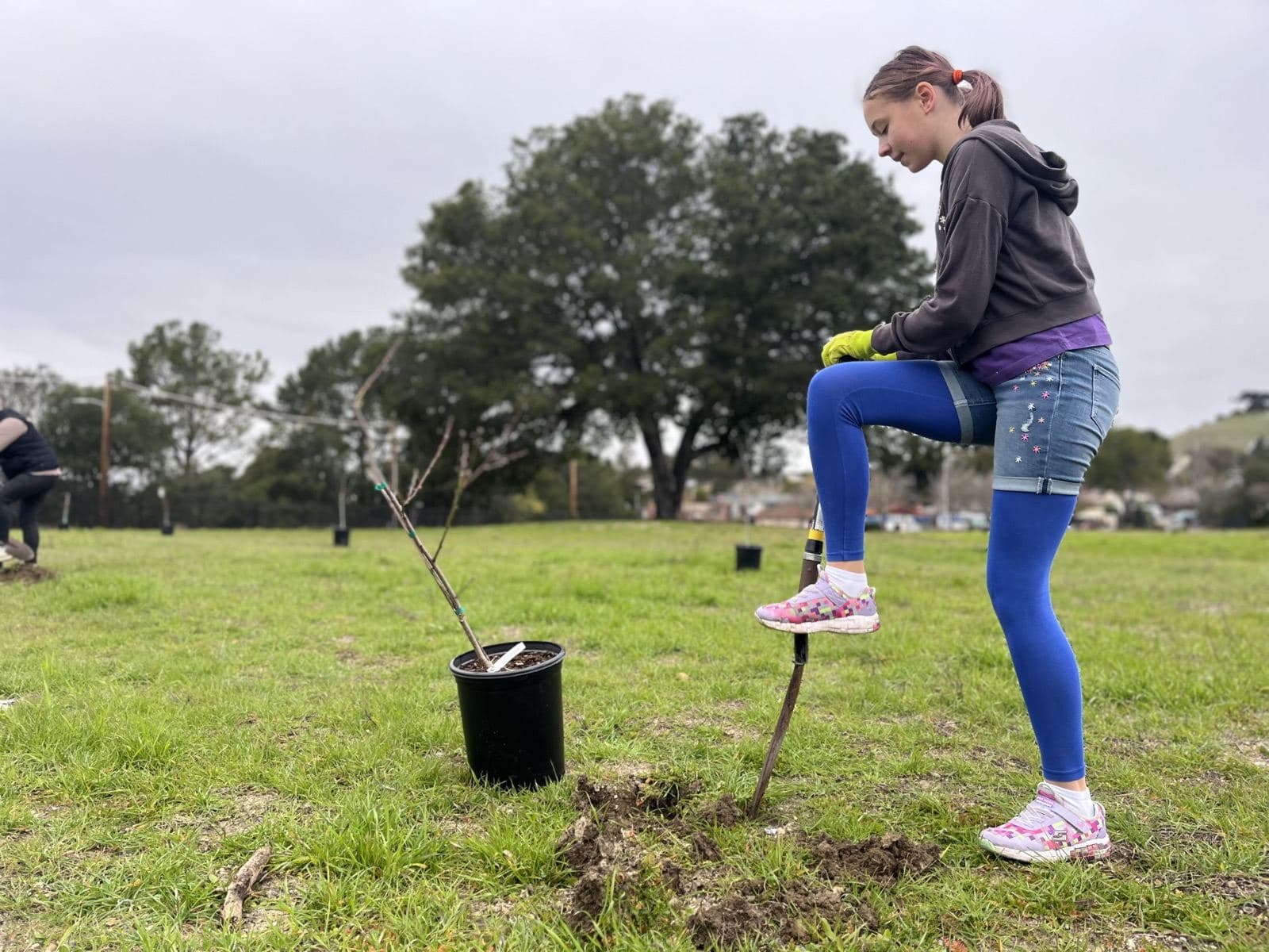 Planting Trees at a partner school