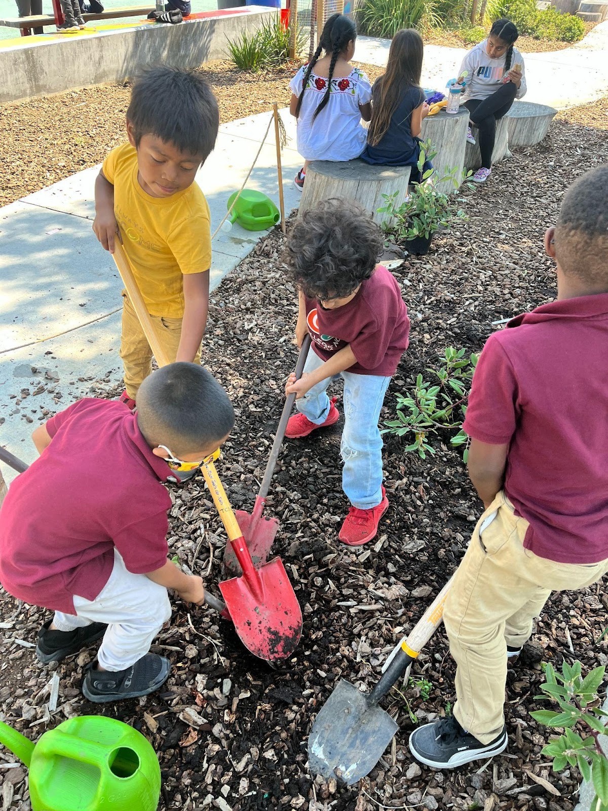 Students planting together in a school garden