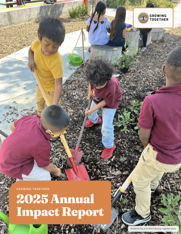 Cover of the 2025 Impact Report